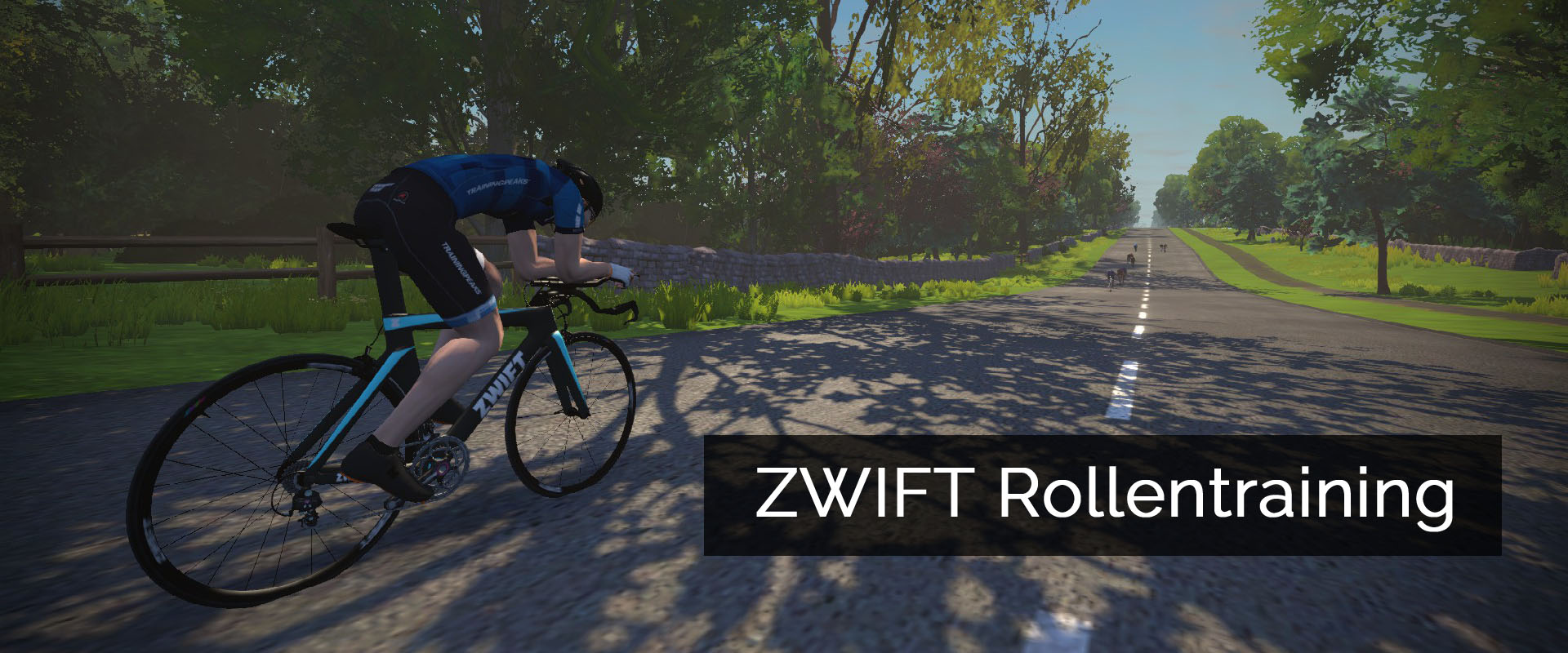 Zwift Rollentraining